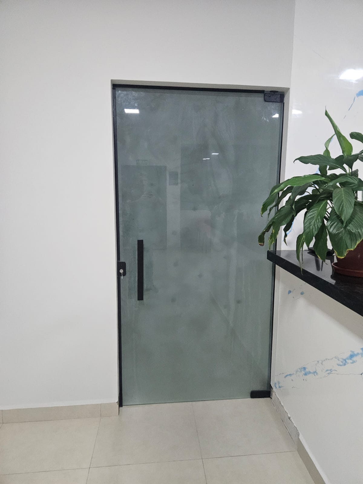 Porta de vidro jateada - foto 2